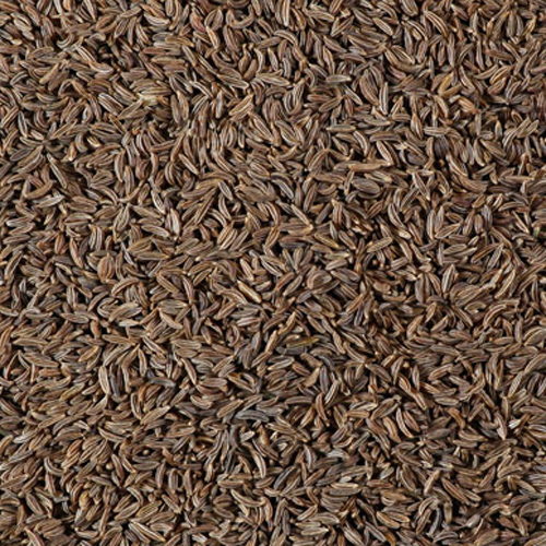 Cumino Bio