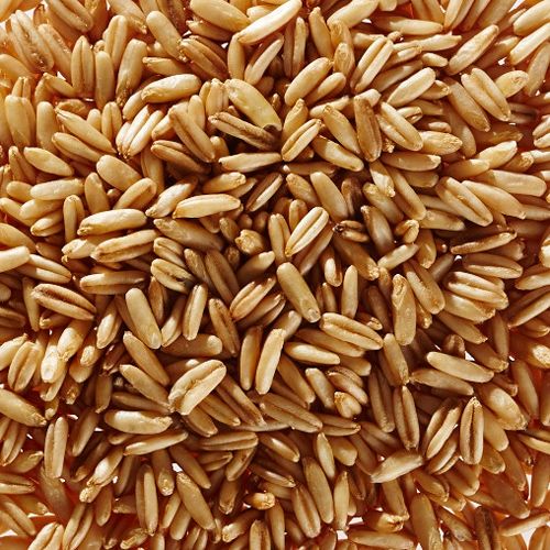 Oat grains