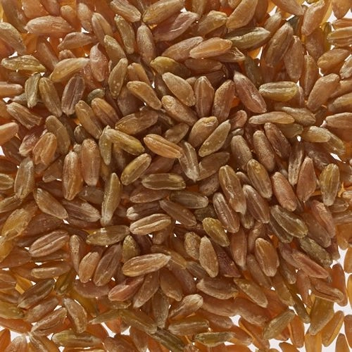 Organic unripe spelt grain