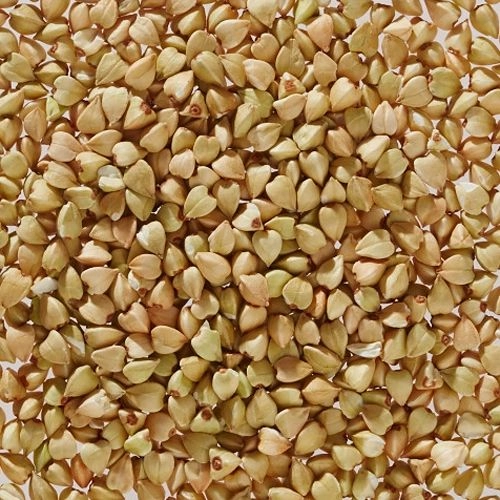 Organic buckwheat
