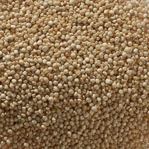 Quinoa