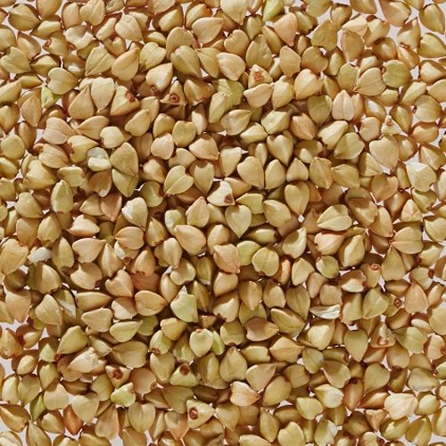 Buckwheat