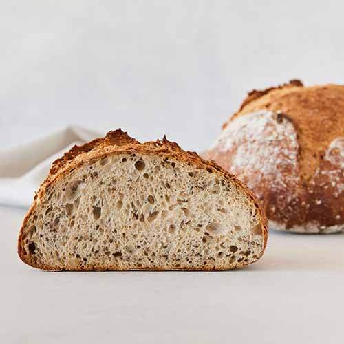 Sun bread