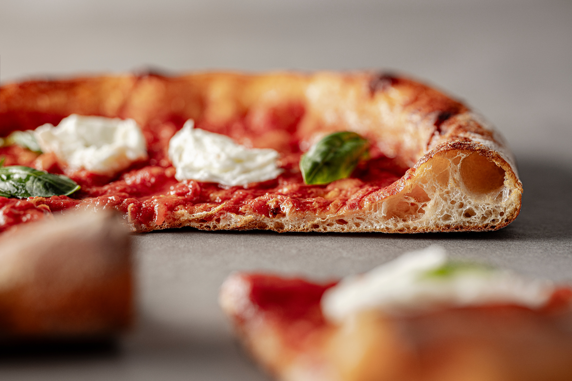 ROUND PIZZA WITH PANPRO
