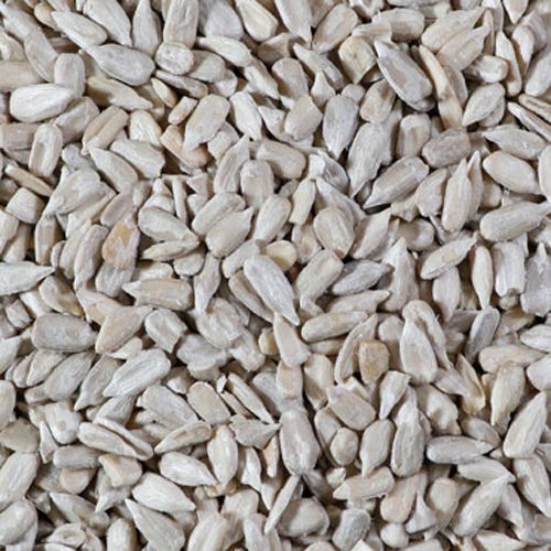 Organic bakery sunflowers seeds